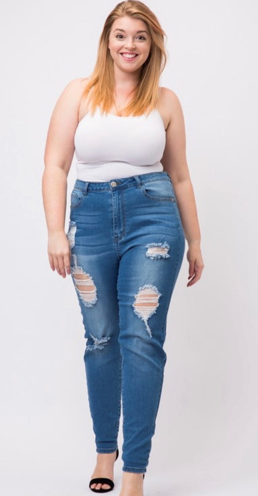 High Waisted Skinny Jeans- Plus Size